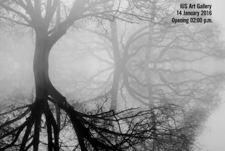 Exhibition: ‘’VACD Beyond the Surface’’